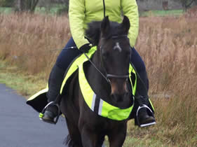 Fizz enjoying a winter hack (December 09)