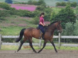 Rebecca Hughes with her own horse Touchdown Valley working at Elementary Level July 2010