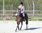 Making Strides Fizzical Presence - Dressage at Sandyflat, Glasgow