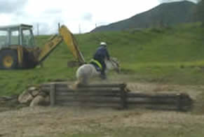Lorna jumping up a step the same height as her pony!