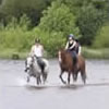 Equestrian holidays image