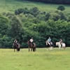 Equestrian holidays image