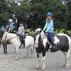 Students on horses